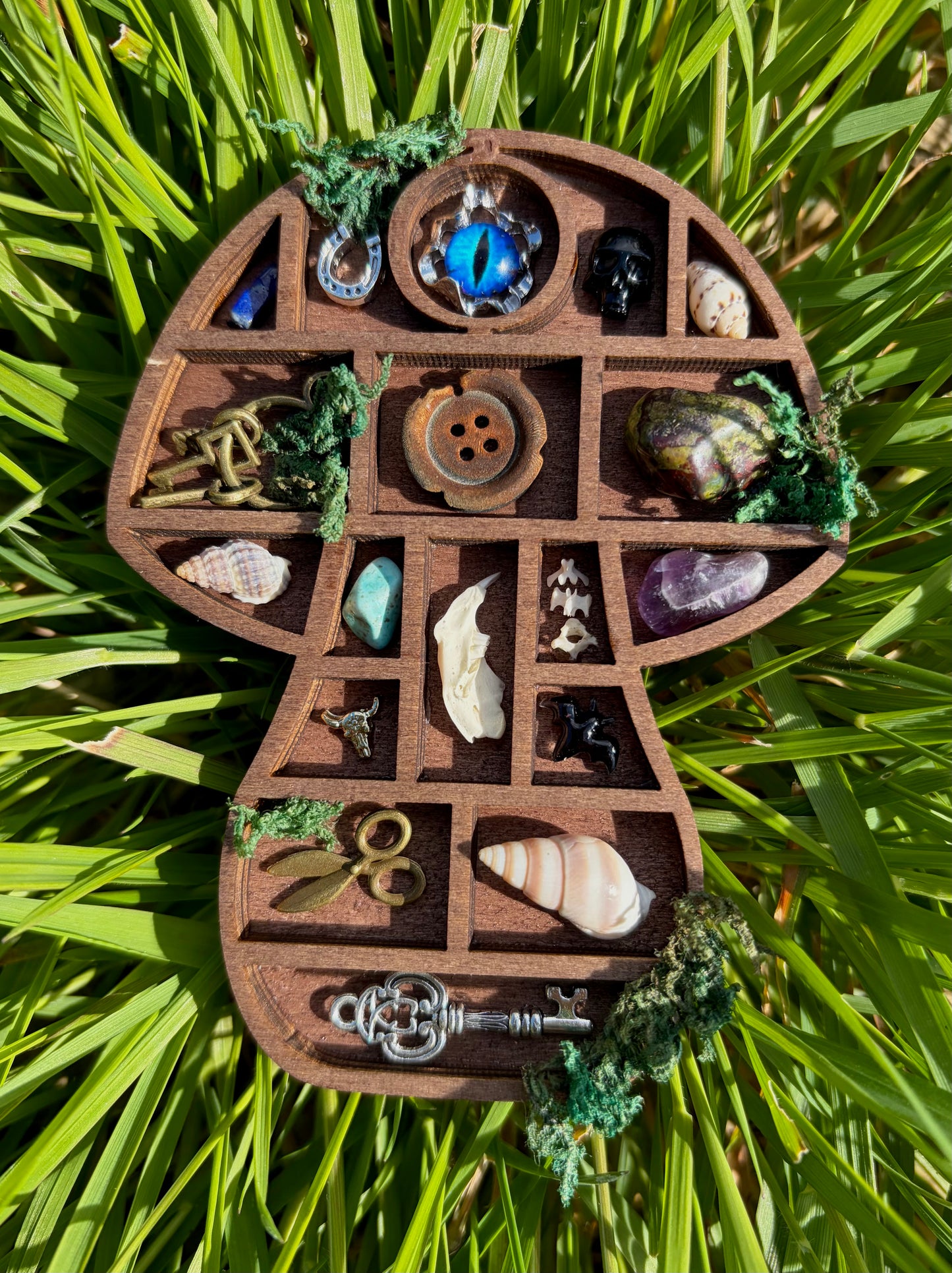 Nano Mushroom Curio Tray