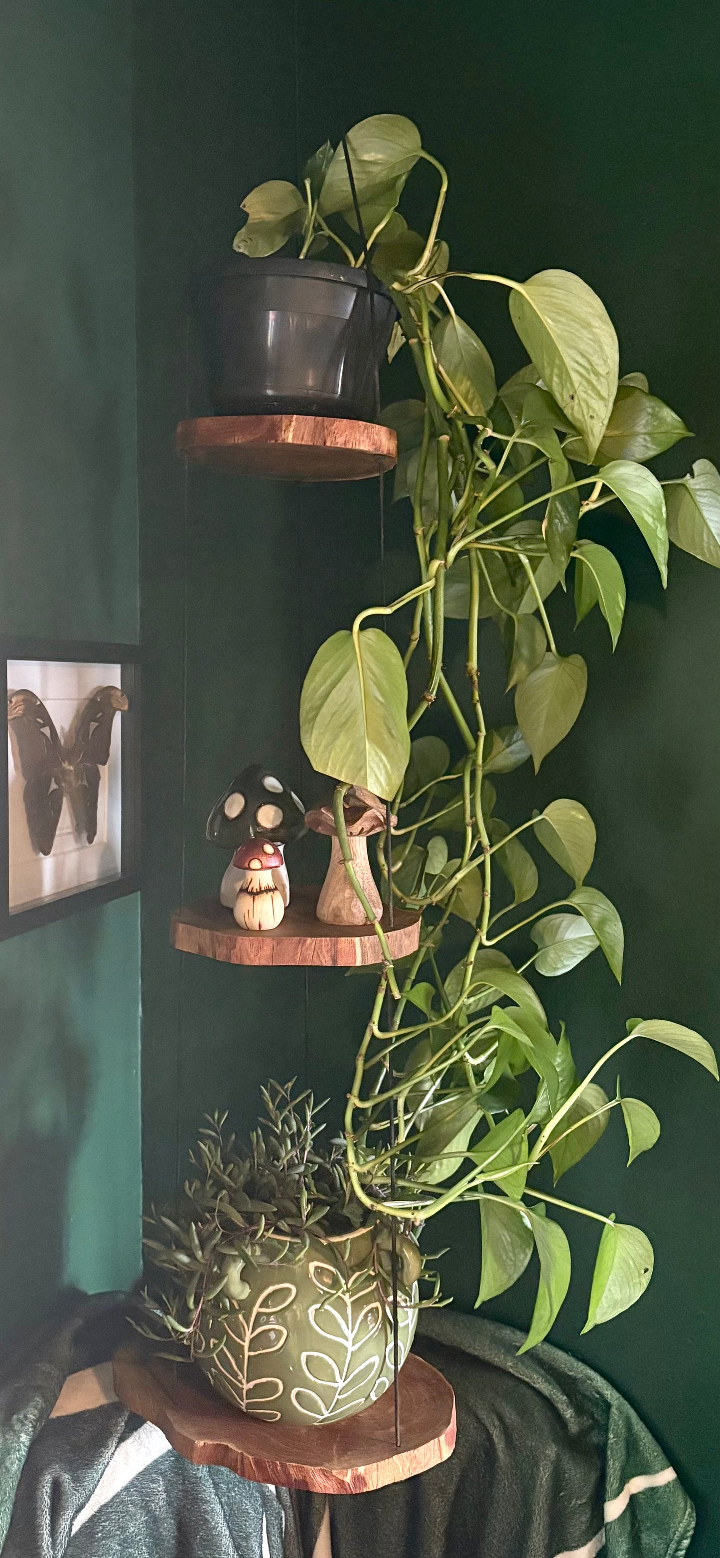 Hanging Gamal Wood Shelf.