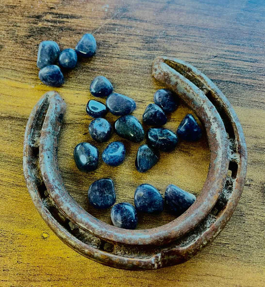 Photo of a number of small iolite next to a horseshoe.