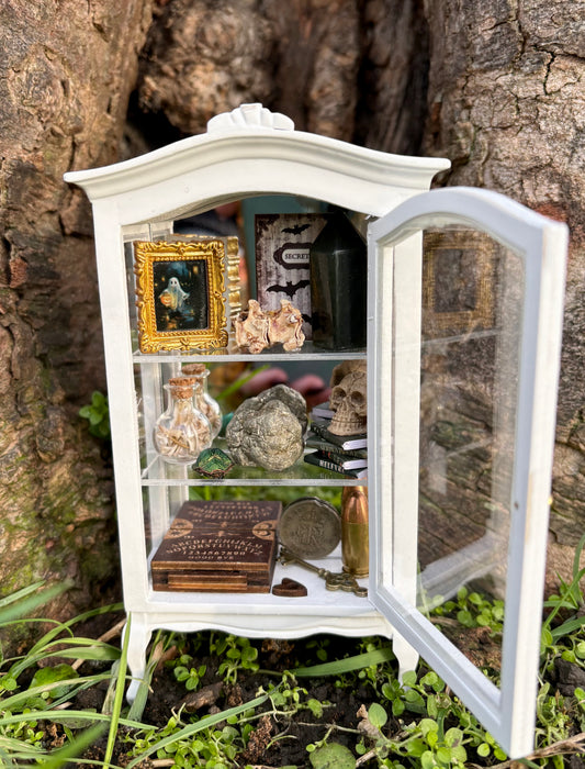 ‘The Weird & Wonderful’ Mini Curio Cabinet.
