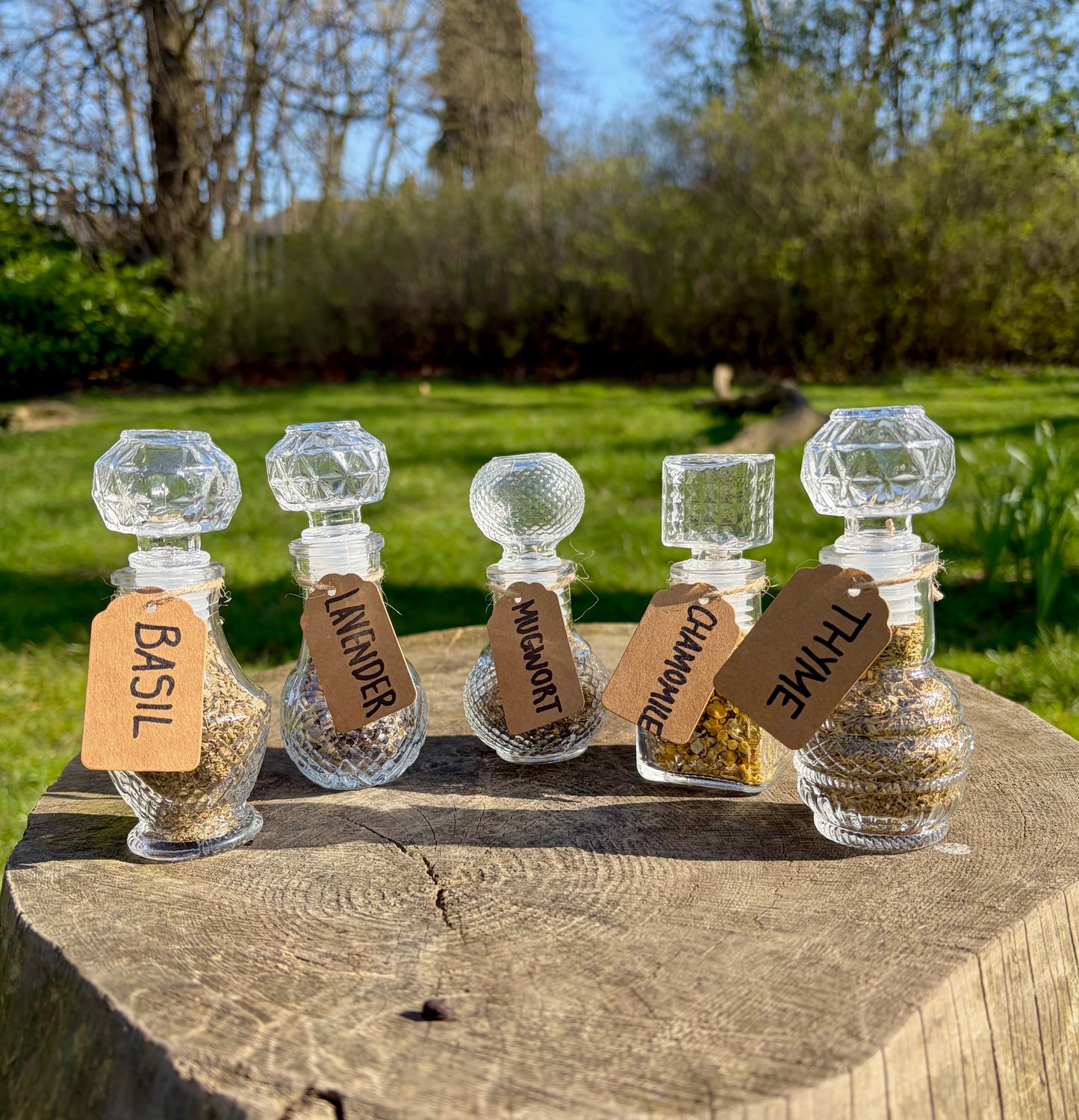 Mini Apothecary Glass Bottles.