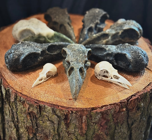 Crow shower bars.