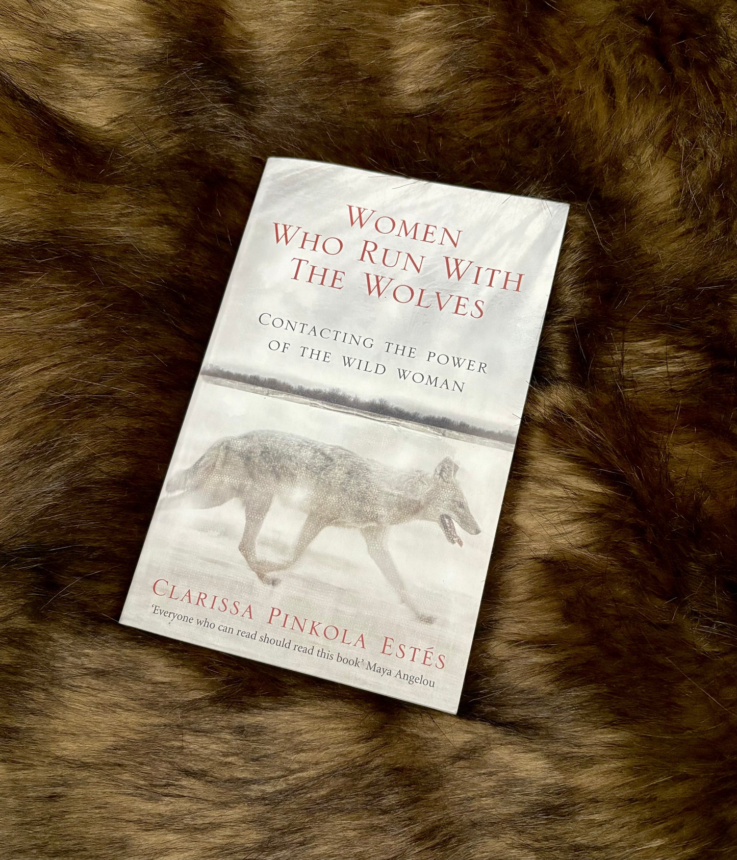 Women Who Run With The Wolves Book.