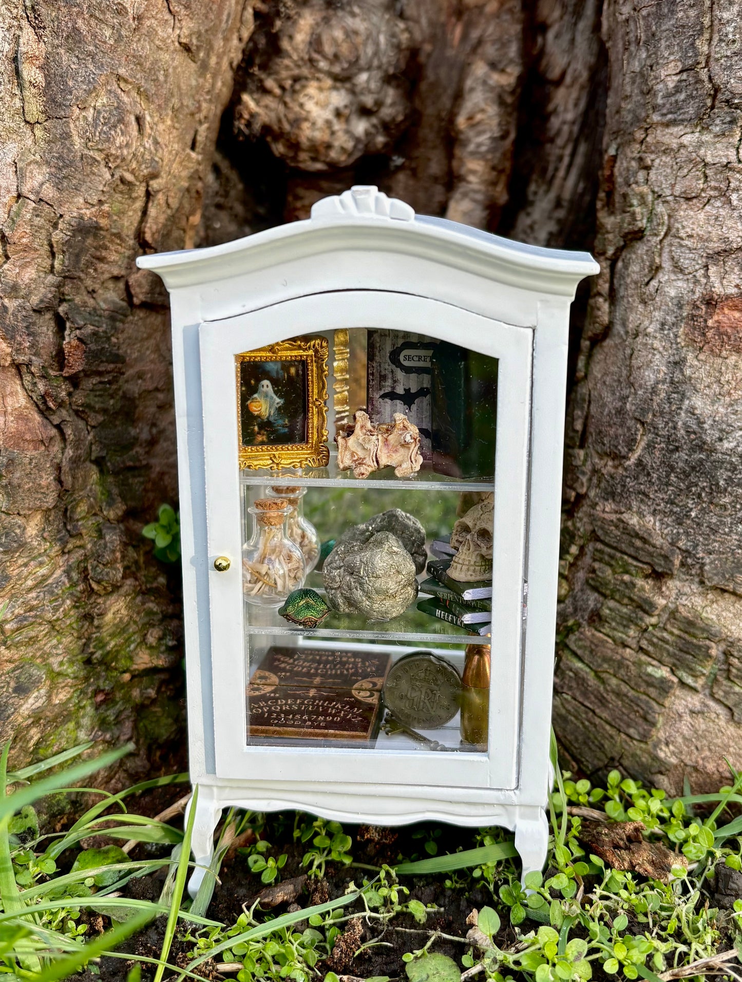 ‘The Weird & Wonderful’ Mini Curio Cabinet.
