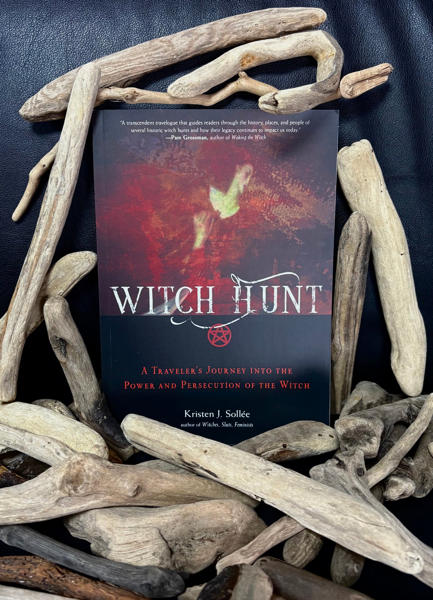 Witch Hunt Book.