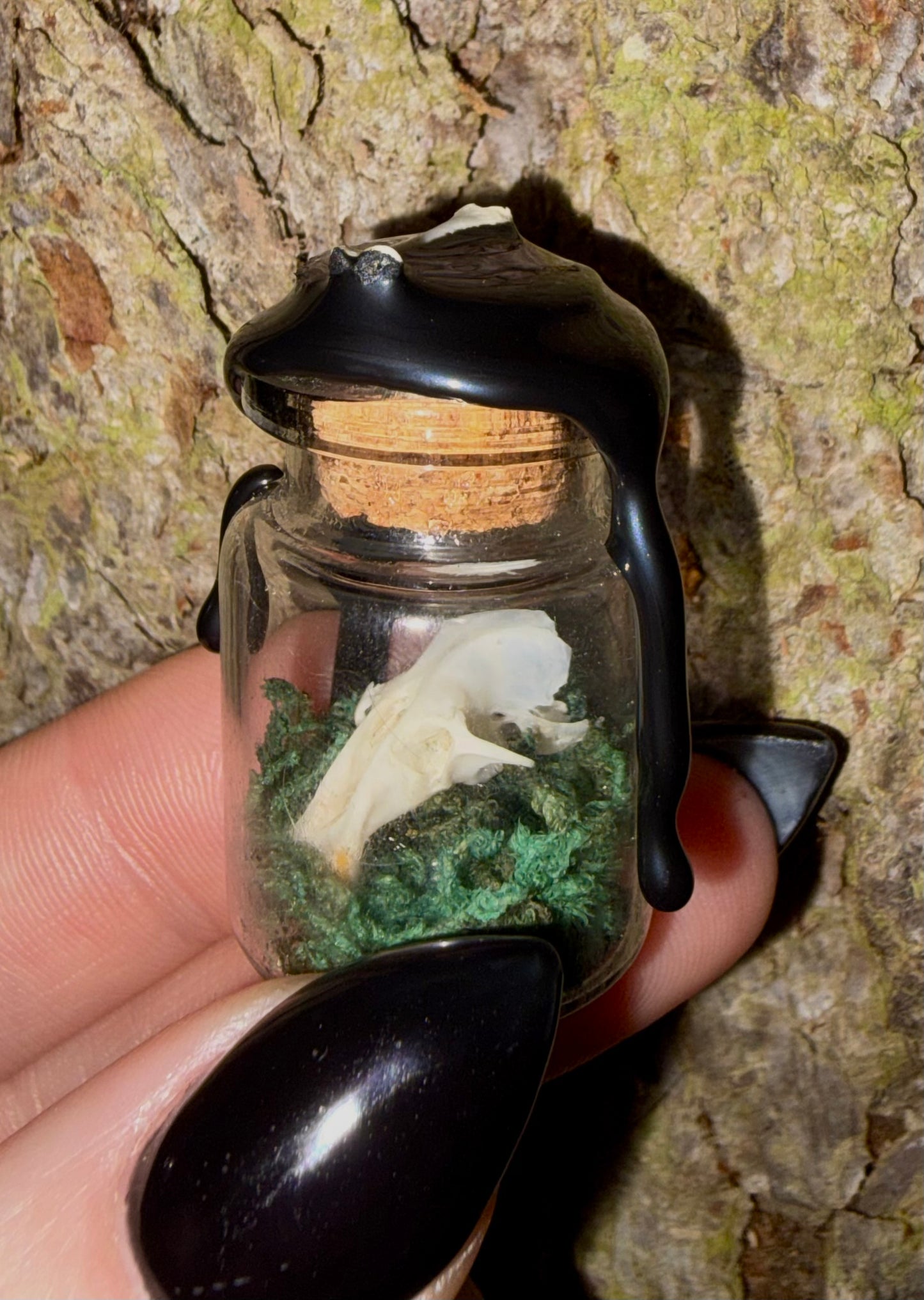 Mini Curio Rodent Skull Bottle.
