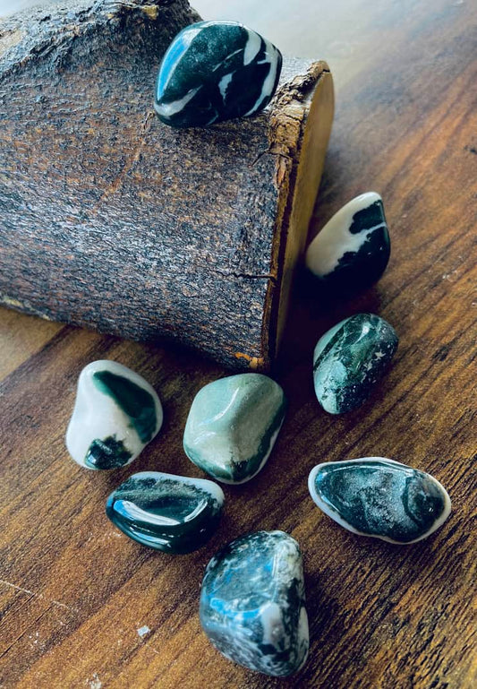 Photo of several pieces of green sardonyx.