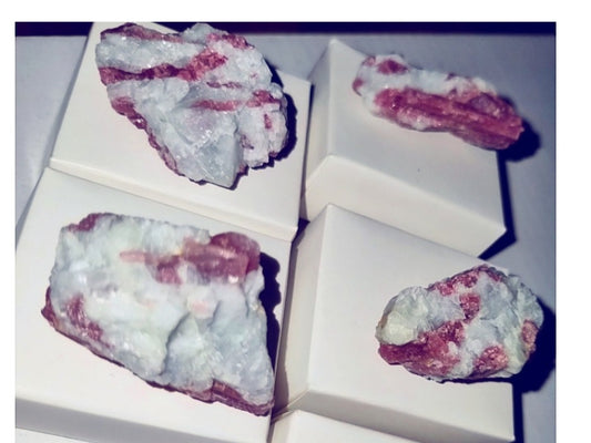 Photo of four rubelite in albite stones sitting atop white boxes