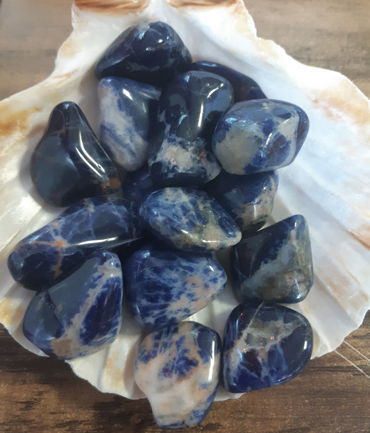 Photo of a number of sodalite tumblestones sitting in a shell.