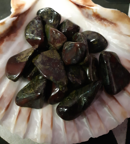 Photo of a number of dragon's blood stones sitting in a shell